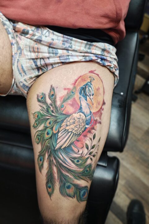 colorful watercolor-style peacock